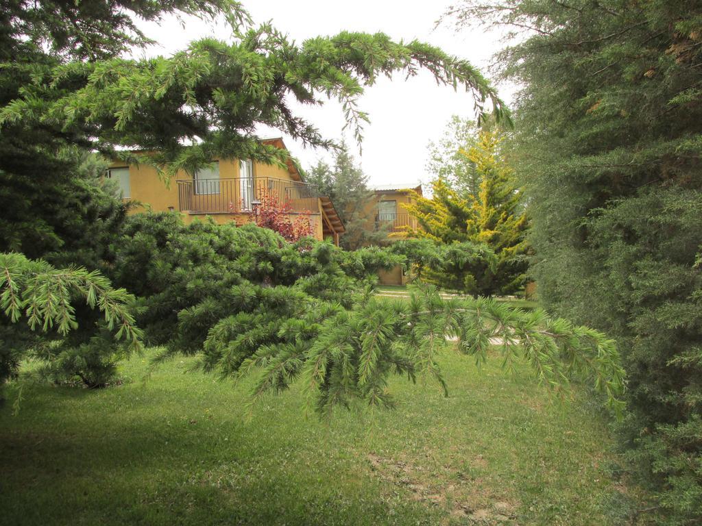 Cabanas Los Arreboles Potrerillos Luaran gambar